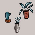 A set of flowers in pots and vases. Plants, cactus, leaves. Room interior, furniture. All objects are isolated and can be moved.